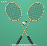 印尼羽毛球公开赛：王祉怡遭逆转不敌世界第1遗憾无缘冠军